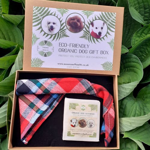 eco-friendly-dog-gift-box